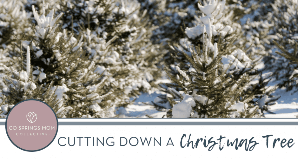 Guide to Cutting Down a Christmas Tree