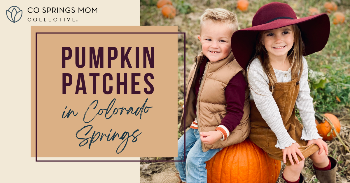 Guide to Pumpkin Patches Featured
