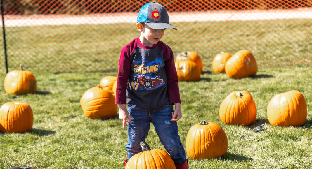 boy in pumpkin patch