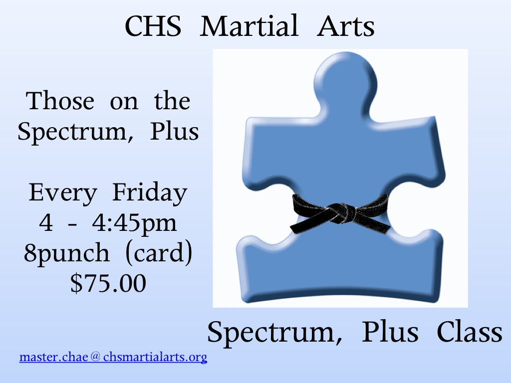 CHS Martial Arts Spectrum Plus Graphic