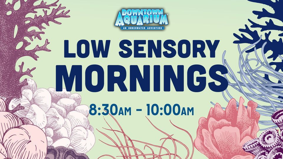 downtown aquarium low sensory mornings